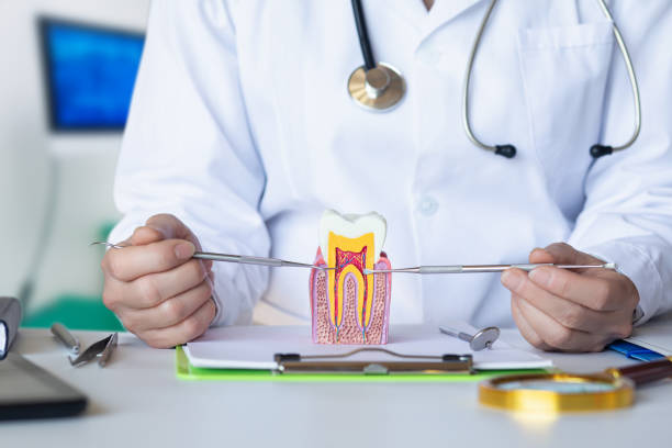 Best Emergency Wisdom Tooth Extraction in Beecher, IL